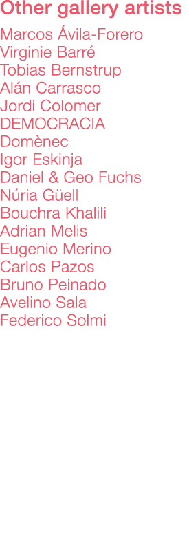 Other gallery artists    Marcos Ávila-Forero Virginie Barré Tobias Bernstrup Alán Carrasco Jordi Colomer DEMOCRACIA D   