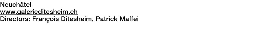  Neuchâtel   www galerieditesheim ch  Directors:  François Ditesheim, Patrick Maffei 