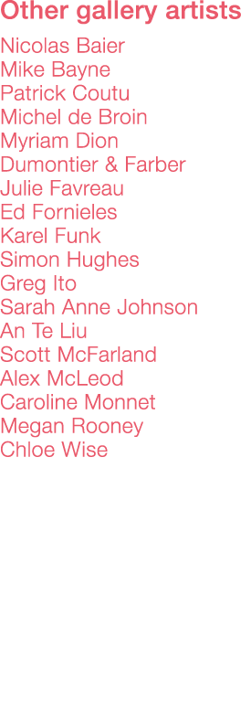 Other gallery artists    Nicolas Baier Mike Bayne Patrick Coutu Michel de Broin Myriam Dion Dumontier & Farber Julie    