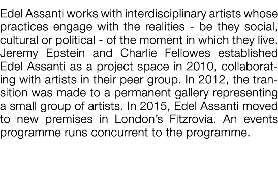  Edel Assanti works with interdisciplinary artists whose practices engage with the realities - be they social, cultur   