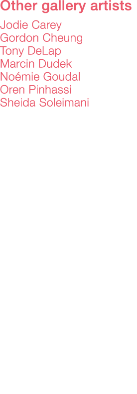 Other gallery artists    Jodie Carey Gordon Cheung Tony DeLap Marcin Dudek Noémie Goudal Oren Pinhassi Sheida Soleimani 
