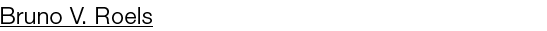 Bruno V  Roels 