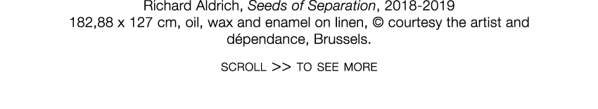   Richard Aldrich  ,   Seeds of Separation  ,   2018-2019     182,88 x 127 cm  ,   oil, wax and enamel on linen  ,      