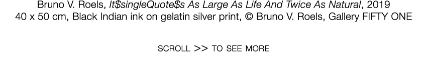   Bruno V  Roels  ,   It singleQuote s As Large As Life And Twice As Natural  ,   2019     40 x 50 cm  ,   Black Indi   